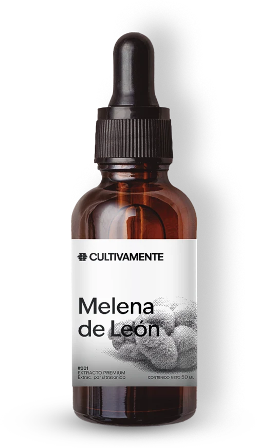 Melena de león Cultivamente